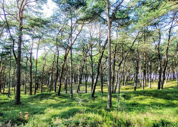 Апартаменты Nr- 1 By Interhome Копалино